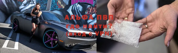 прущие грибы Вязники